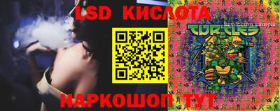 прущие грибы Владивосток