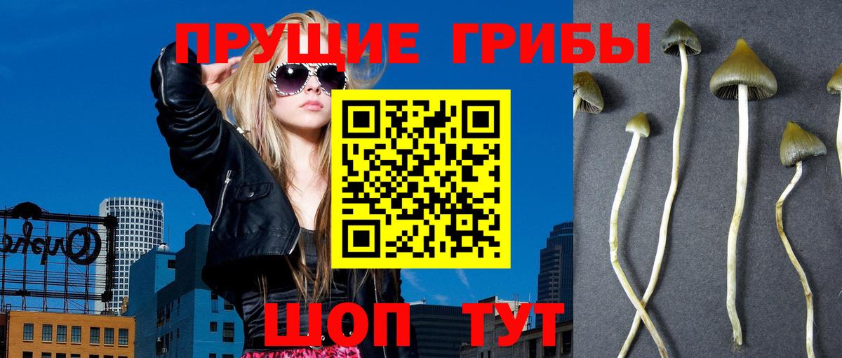 Галлюциногенные грибы ЛСД Нижний Тагил