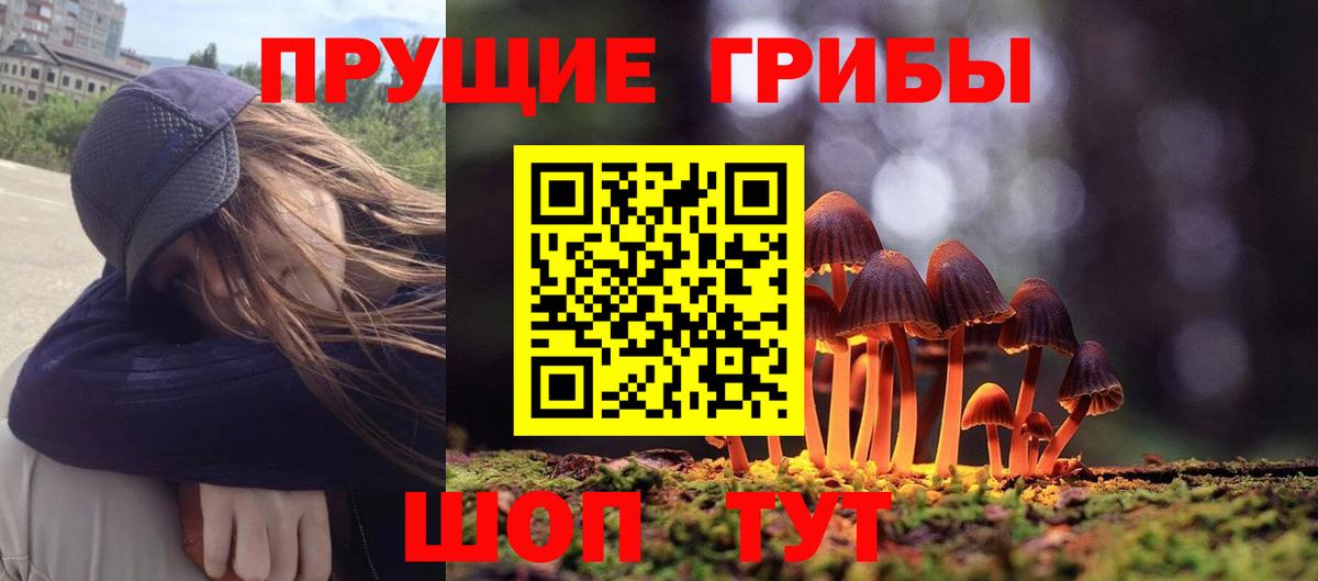 Галлюциногенные грибы GOLDEN TEACHER  Вход с VPN  Нижний Тагил  Галлюциногенные грибы Psilocybe 